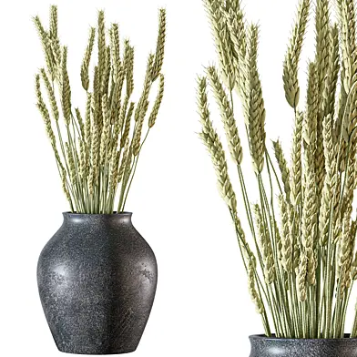 Indoor Plant Set 69
