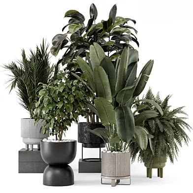 Indoor Plants in Ferm Living Bau Pot Large - Set 1925