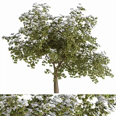 Landscape Tree with Snow 01