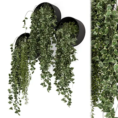 Indoor Hanging Plants in Concrete Pot - Set 1929