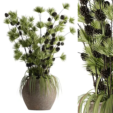 growing plants in pots 05