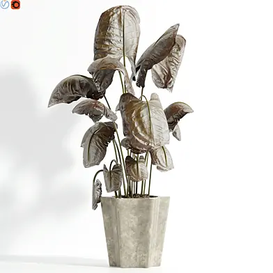 Indoor plant 82