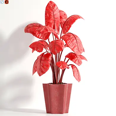 Indoor plant 83