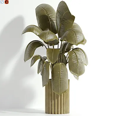 Indoor plant 89