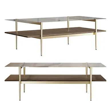 Mid-Century Art Display Coffee Table by WESTELM