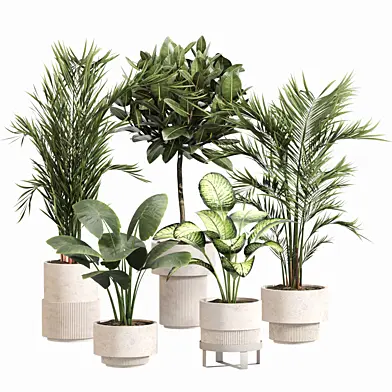 Indoor Plant Set 042