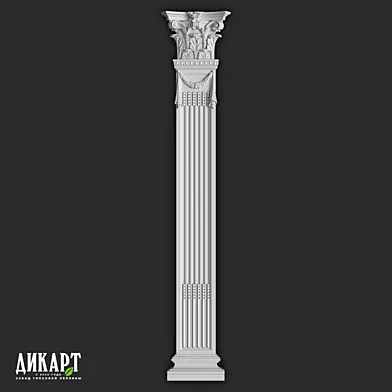 Дикарт П-602