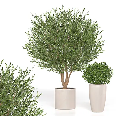 treez plants set 33