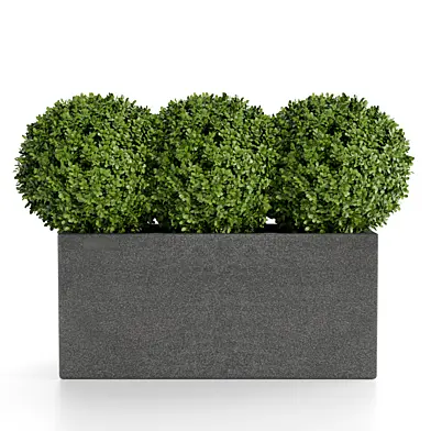 treez plants set 36