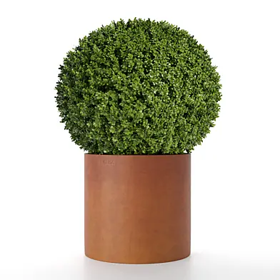 treez plants set 41