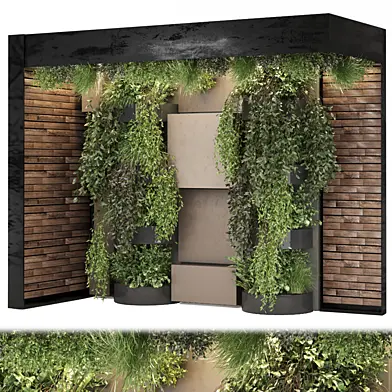 indoor hanging plants collecion_set 1178