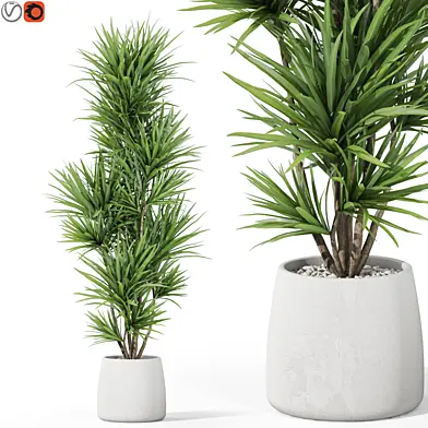 Plants collection 1034