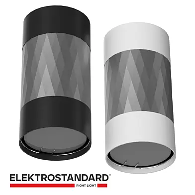 ОМ Накладной точечный светильник Elektrostandard DLN110 GU10 Mizar