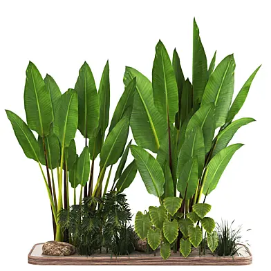 indoor plant set028