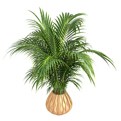 Indoor Plant9