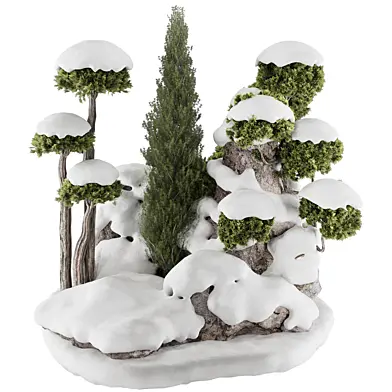 Snowy backyard and landscape vertical topiary garden and rocks 285