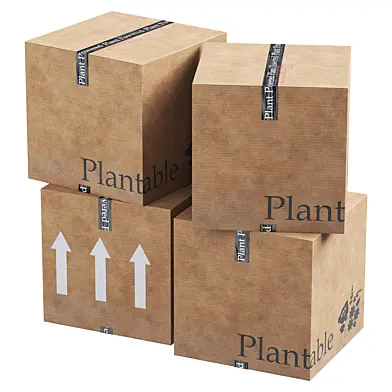 Cardboard box