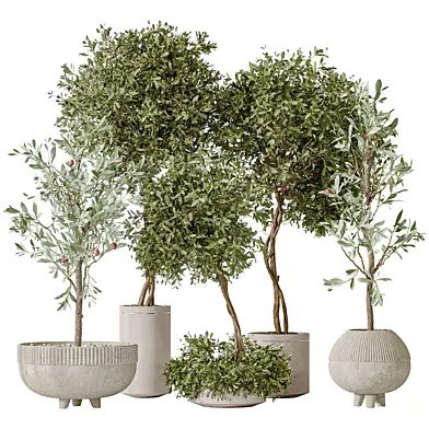 Olive Artificial Olivo Olea Tree
