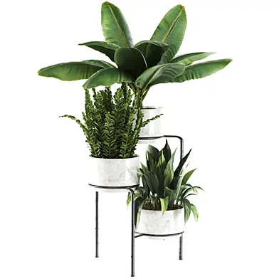 Indoor plant In Rusty stand stone pot  set-91