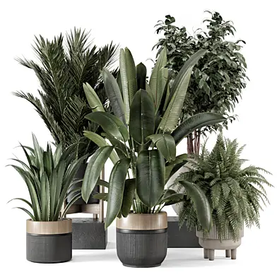 Indoor Plants in Ferm Living Bau Pot Large - Set 2005