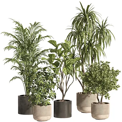 indoor plant set 72 Concrete and metal