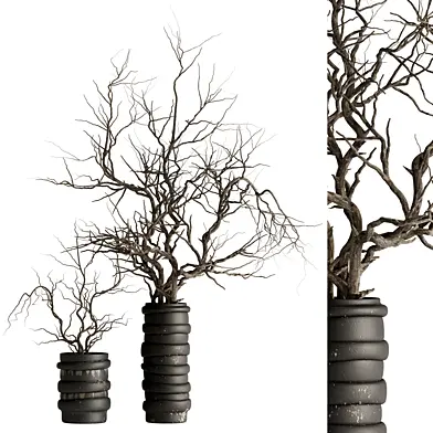 Trunk and branch