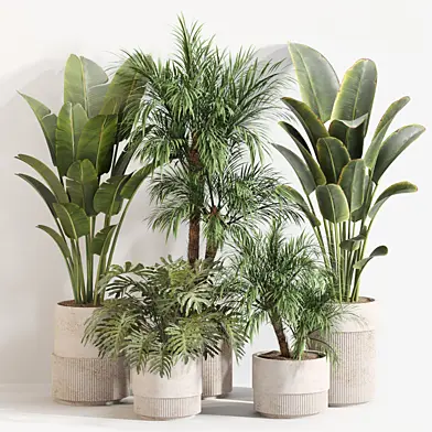 Indoor Plant Set 056