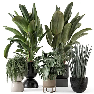 Indoor Plants in Ferm Living Bau Pot Large - Set 2034