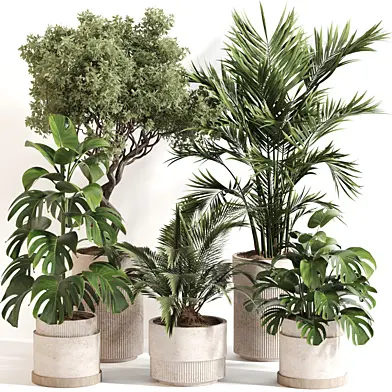 Indoor Plant Set 068