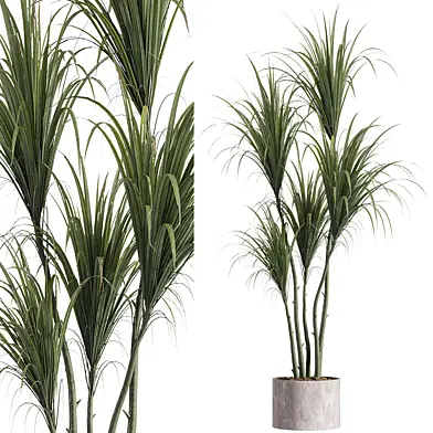 Faux Potted Dracaena Plant