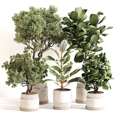 Indoor Plant Set 063
