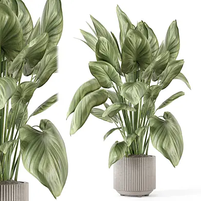 Indoor Plants in Ferm Living Bau Pot Large - Set 2068