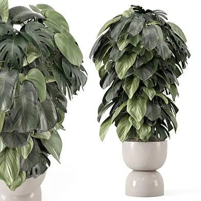 Indoor Plants  in rusty Concrete Pot - Set 2071