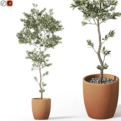 Plants collection 1048