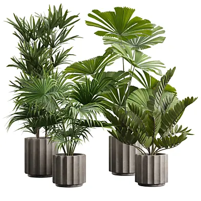 Indoor Plants Pack 66