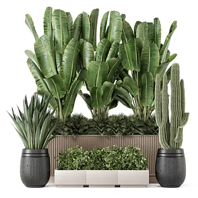 Indoor Plants in Rusty Concrete Pot -Set 2094