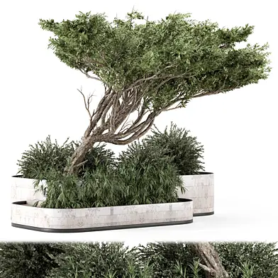 Backyard Plant Box - Outdoor Plants Set 2104