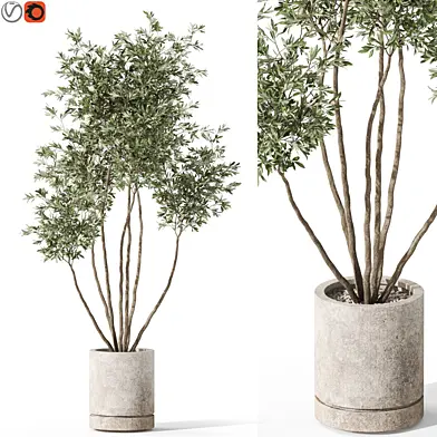 Plants collection 1061