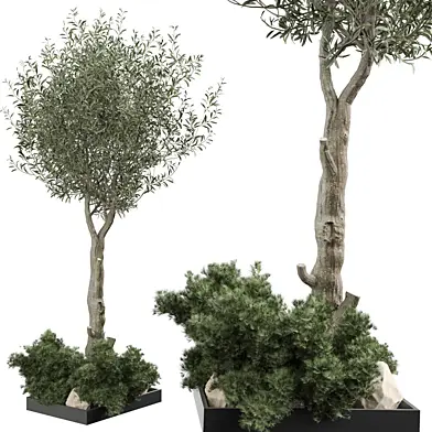Outdoor Plant 271