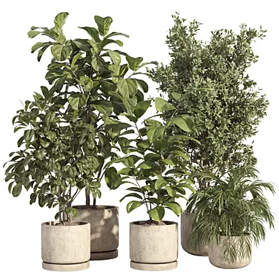 indoor plant set 76-concrete pot