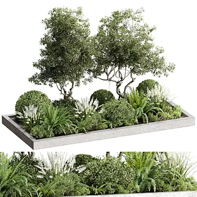 Outdoor Plant 09