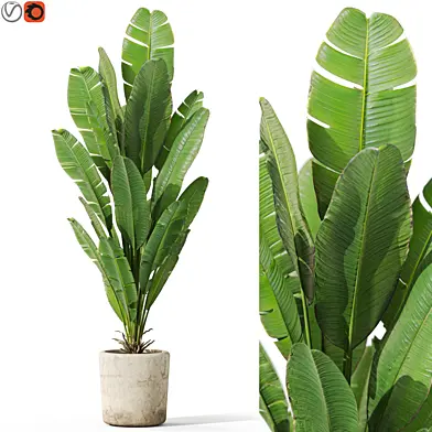 Plants collection 1075