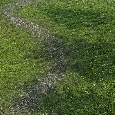 Grass with path
