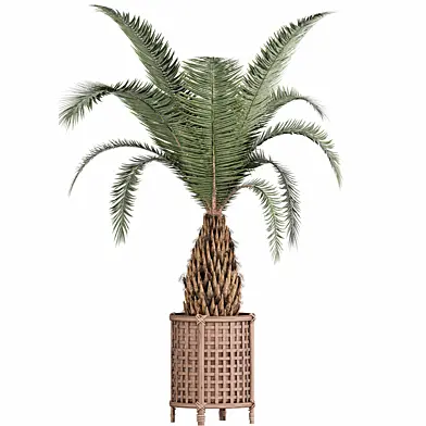 indoor plants set 047