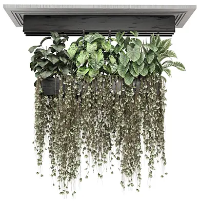indoor hanging plants in metal box Set 1312