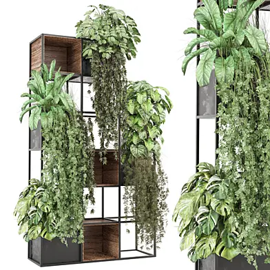indoor Plants Collection - Set 1318