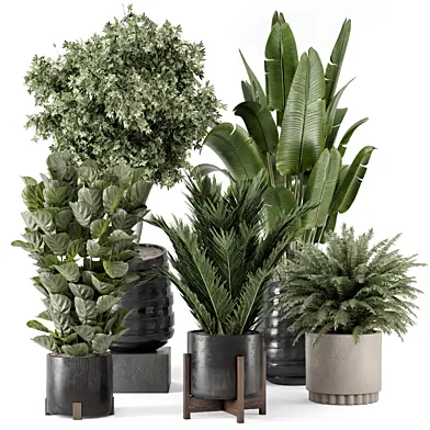 Indoor Plants in Ferm Living Bau Pot Large - Set 2243