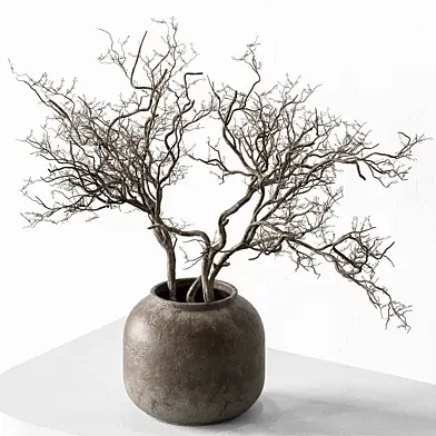 Bouquet - Dried Branch 184