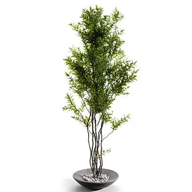 Branches in vases 76