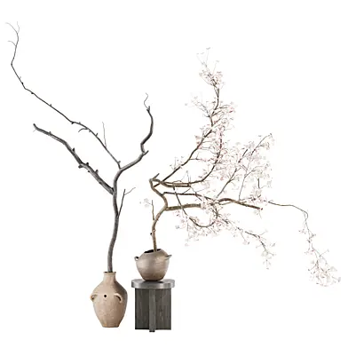 Indoor Plant 03